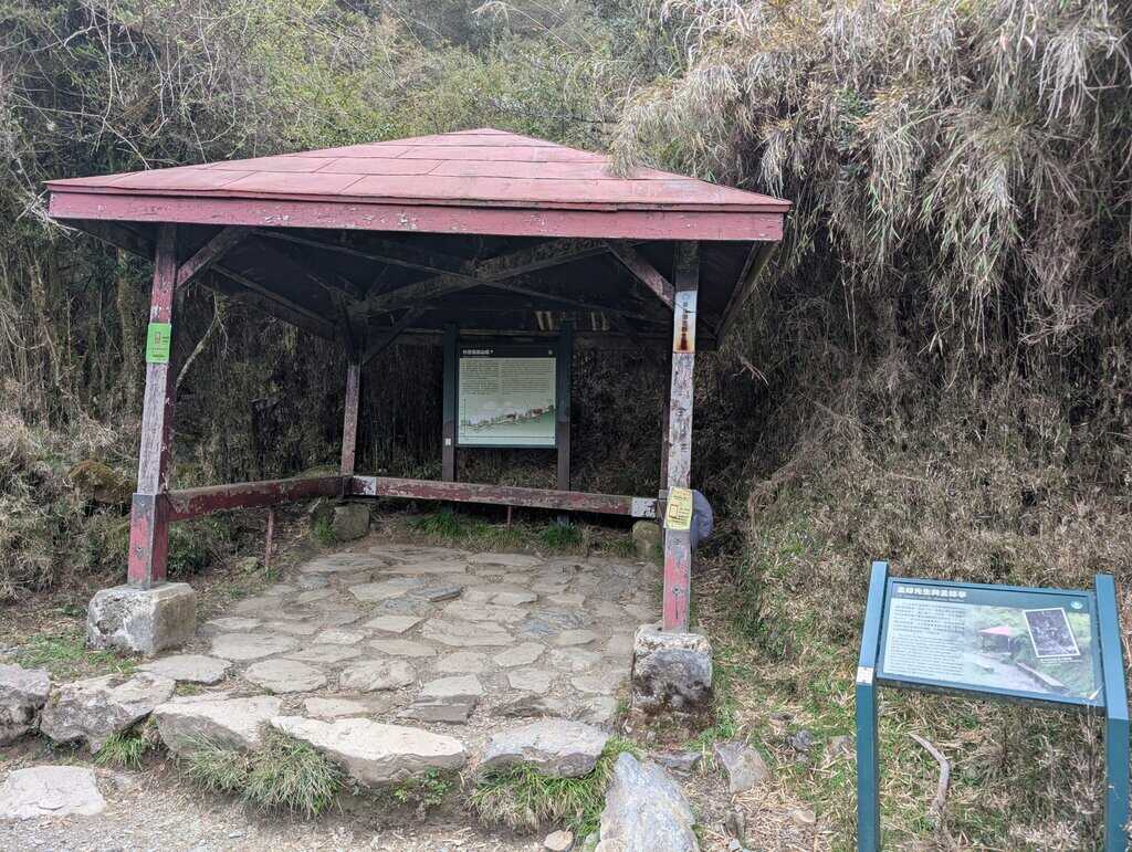 玉山登頂(路程篇) 3 PXL 20250503 025636826 scaled 1